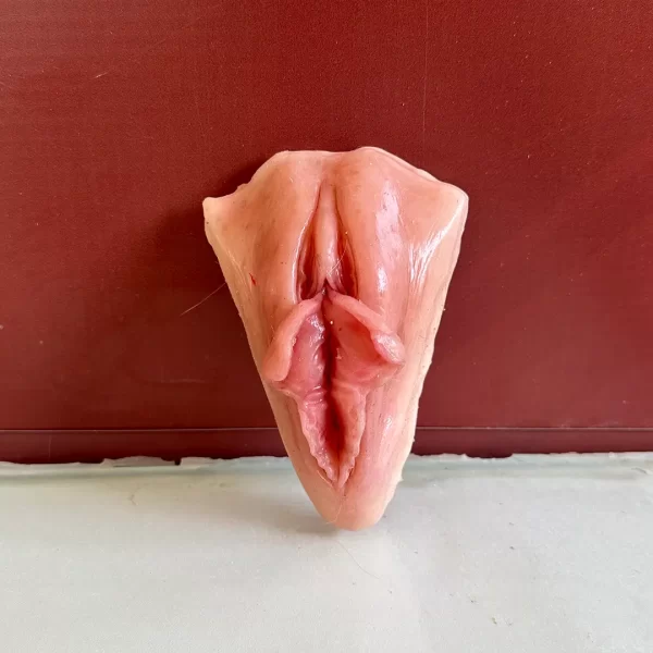 Vulva Outras Diferenças Anatômicas 2 - Image 2